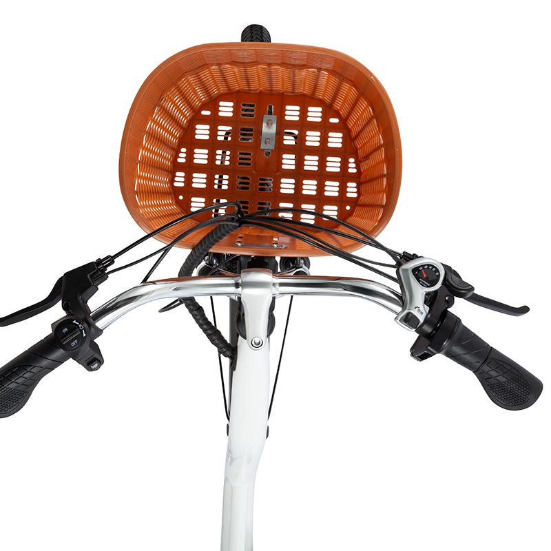 bicicleta con canasto