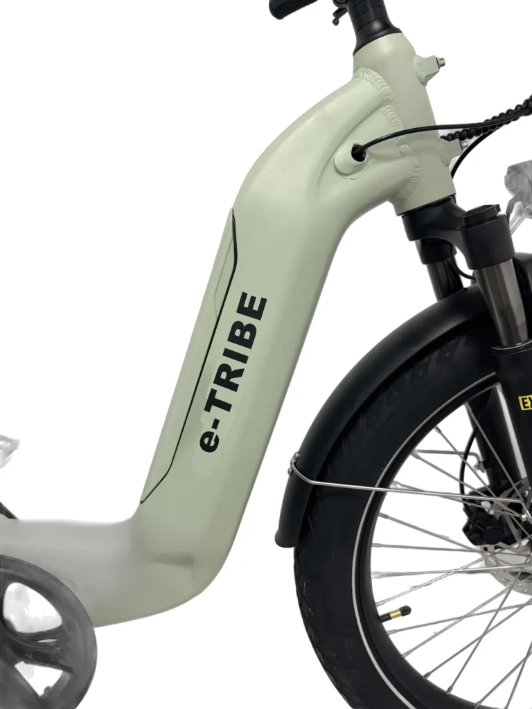 Imagen de Bicicleta Electrica E-TRIBE Light Grey / Familiar-Cargo (PREVENTA/Despacho Desde 15 Octubre)