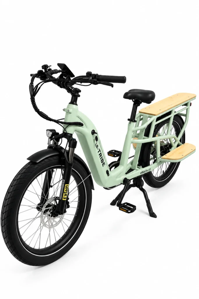Imagen de Bicicleta Electrica E-TRIBE Light Grey / Familiar-Cargo (PREVENTA/Despacho Desde 15 Octubre)