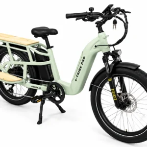 Bicicleta Electrica E-TRIBE PRO Light Grey / Familiar-Cargo Doble Batería