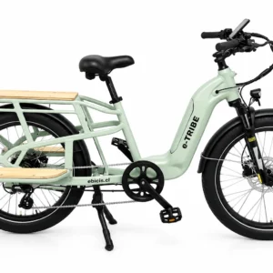 Bicicleta Electrica E-TRIBE Light Grey / Familiar-Cargo (PREVENTA/Despacho Desde 15 Octubre)